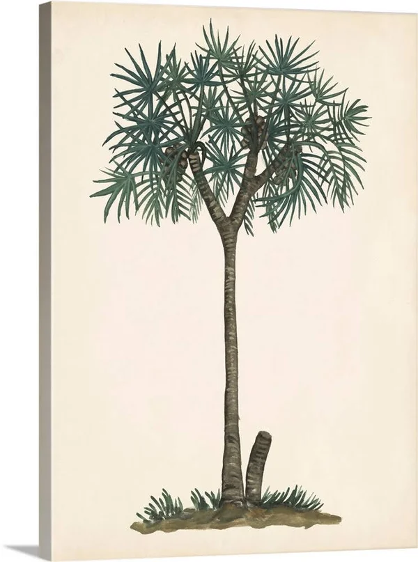 Palm Tree Study III - Canvas Wall Art, 18x24, Great Big Canvas