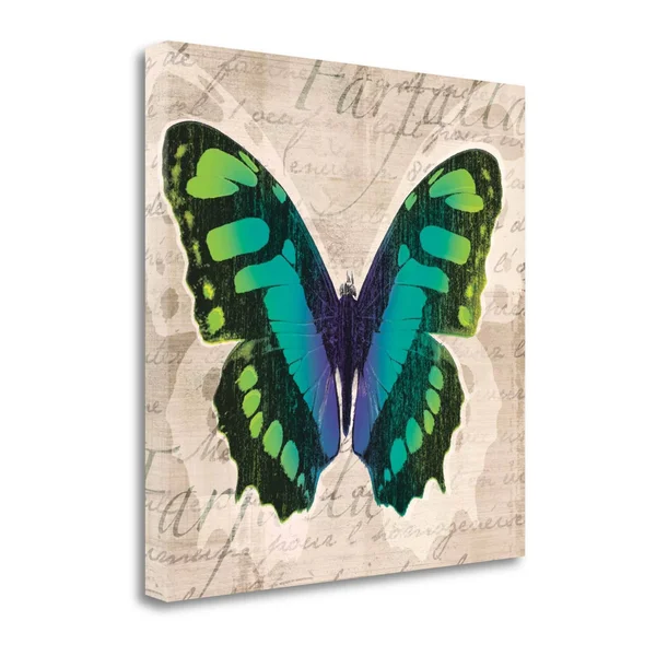 Tangletown Fine Art Butterflies II by Tandi Venter