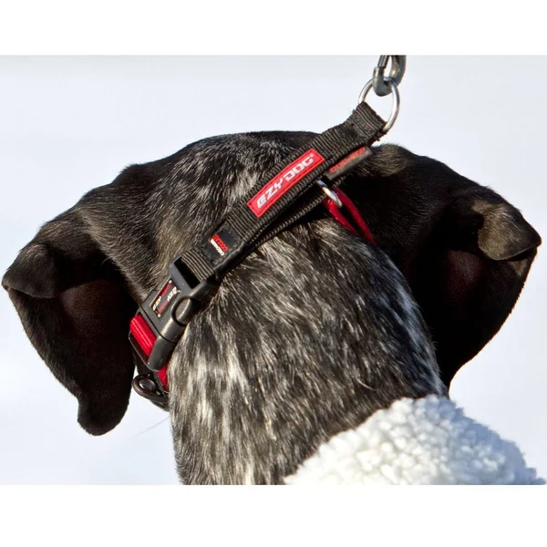 EzyDog Checkmate Collar - Medium, Red