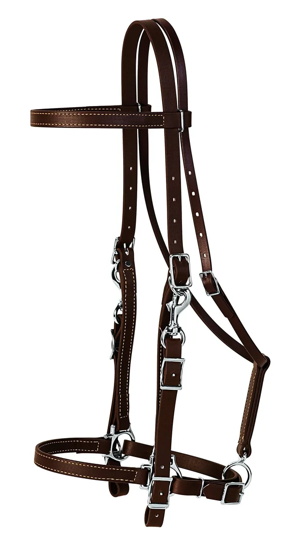 Weaver Leather Brahma Webb Halter Bridle, Brown