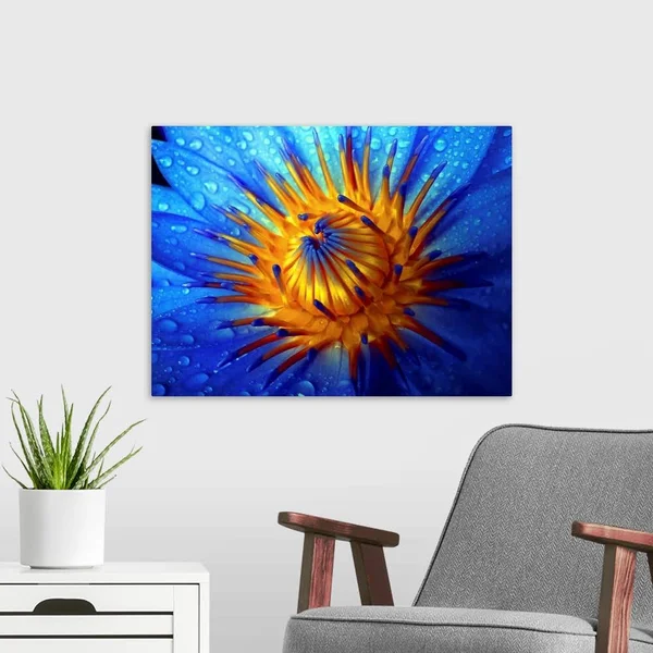 Waterlily, Large Solid-Faced Canvas Wall Art Print, Great Big Canvas