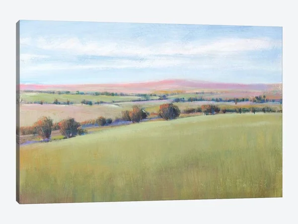Tim OToole Canvas Prints - Hill Country II ( scenic & landscapes > Nature > fields, grasslands & Meadows art)