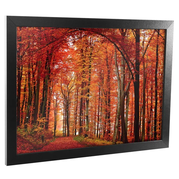 Trademark Art The Red Way Framed Canvas Art, 18x24