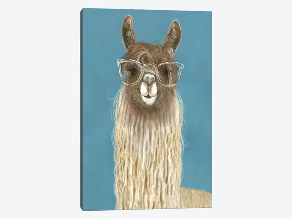 Victoria Borges Canvas Wall Decor Prints - Llama Specs IV ( Humor > Animal Humor art)