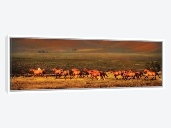 Framed Canvas Art (White Floating Frame) - Montana Dreaming by Lisa Dearing ( Animal Art > Farm Animals > Horses art)