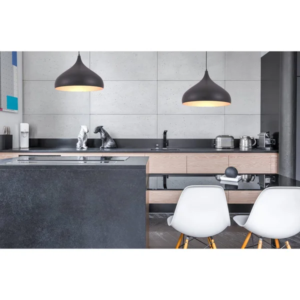 Circa 16.5x22 Black 1 Light Pendant LDPD2045