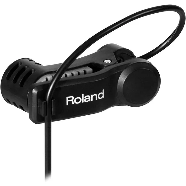Roland EC-10M ELCajon Mic Processor