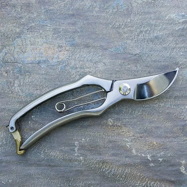 Essential Stainless Steel Pruners
