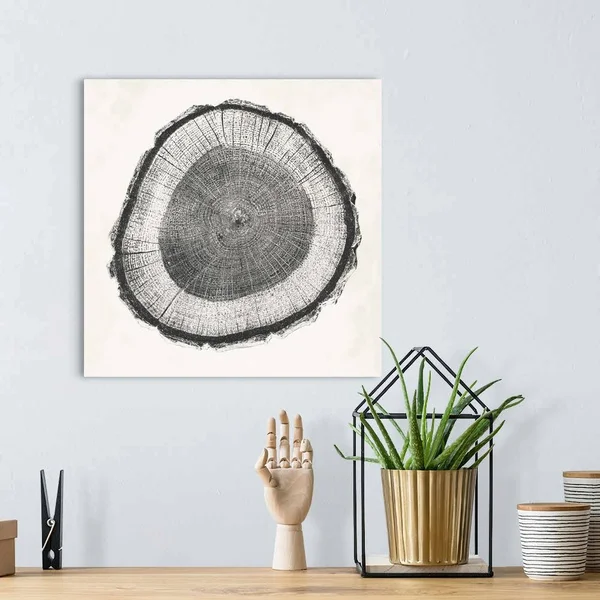 Tree Ring II, Canvas Wall Art, 16x16, Great Big Canvas