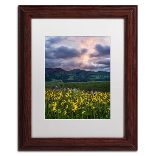 Trademark Art &Awakening& by Michael Blanchette Framed Photographic Print Size: 14x22 H x 11x22 W x 0.5x22 D, Matte Color: White