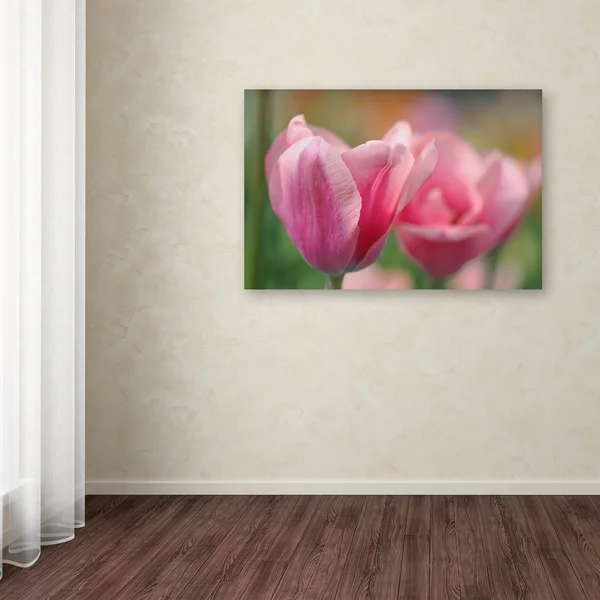 Trademark Art Tulip Flower Pink Mirella' Gallery-Wrapped Canvas Art