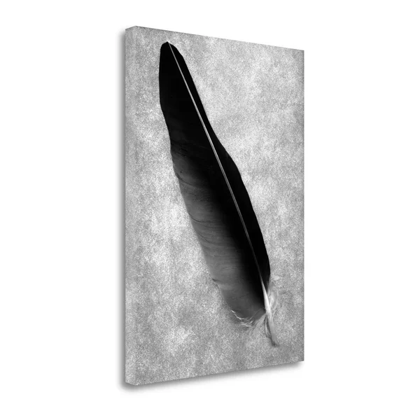 Tangletown Fine Art &Feathers - 7& Graphic Art Print on Wrapped Canvas - Gray