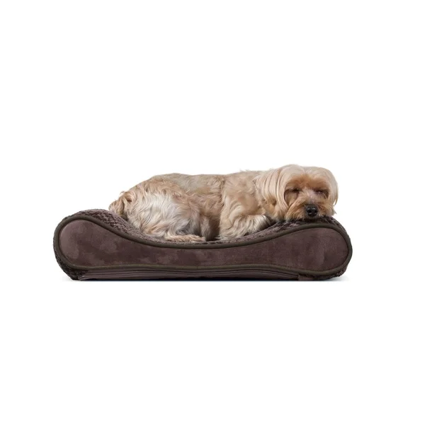 FurHaven Pet Dog Bed, Orthopedic Minky Plush & Velvet Luxe Lounger Pet Bed for Dogs & Cats (Espresso, Giant)