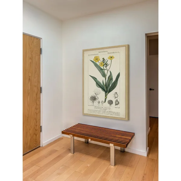 Marmont Hill Inc Botanique Study in Yellow III' Framed Painting Print - 16 x 24