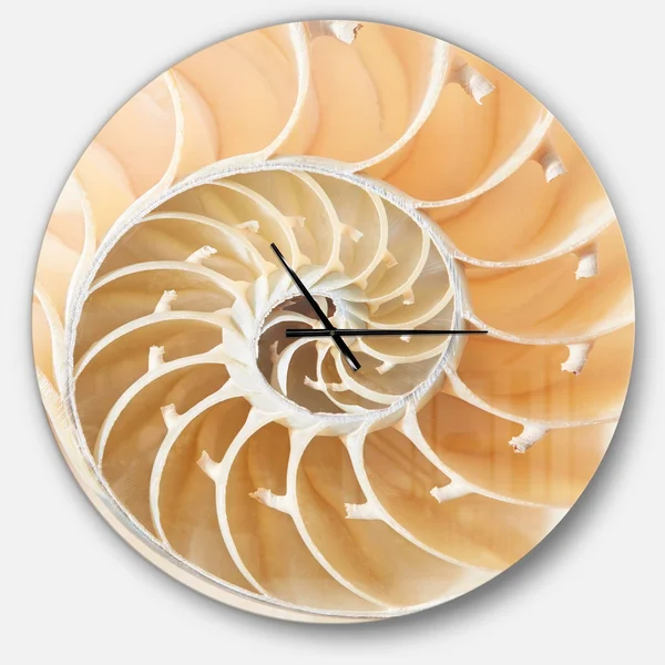 Designart 'Brown Nautilus Shell Pattern ' Modern Wall Clock, Size: 38 inch x 38 inch