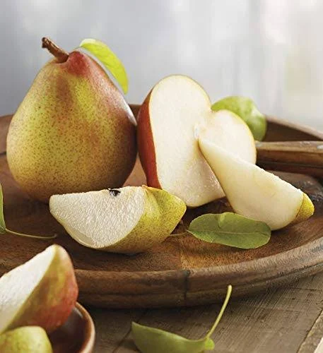 Harry & David Signature Pear - Nut, and Cheese Gift Basket - Grand