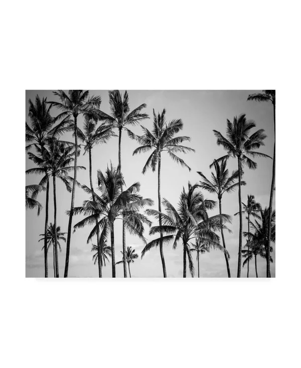 Trademark Fine Art Ic01177-C3547Gg Design Fabrikken 'Palm Heaven Fabri