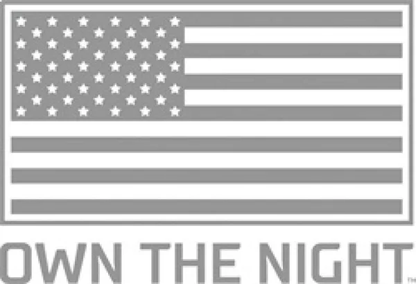Rigid Industries 212113 - D-Series Pro Flood Light