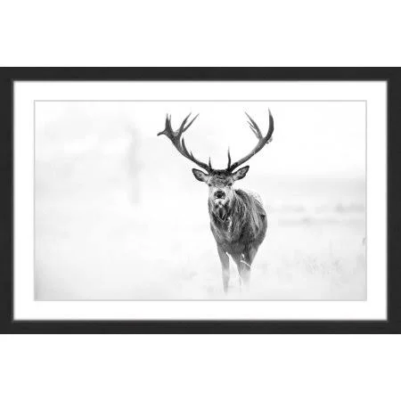 Elk Stare Framed Painting Print, Size: 16 inch x 24 inch, Black