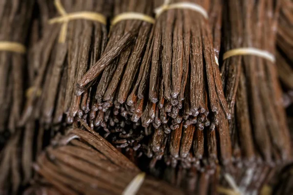 Madagascar Vanilla Beans - Grade A Pods for Baking & Extract Making 1 lb