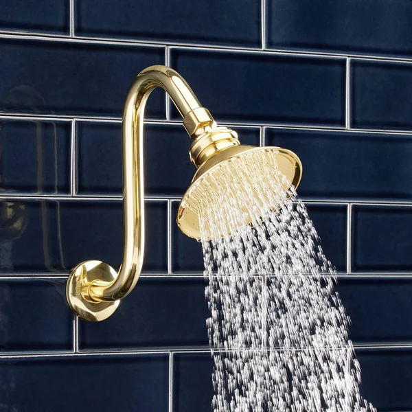 Signature Hardware Windom Watering Can Shower Head with 8x22 Offset Arm in Brushed Nickel 288269