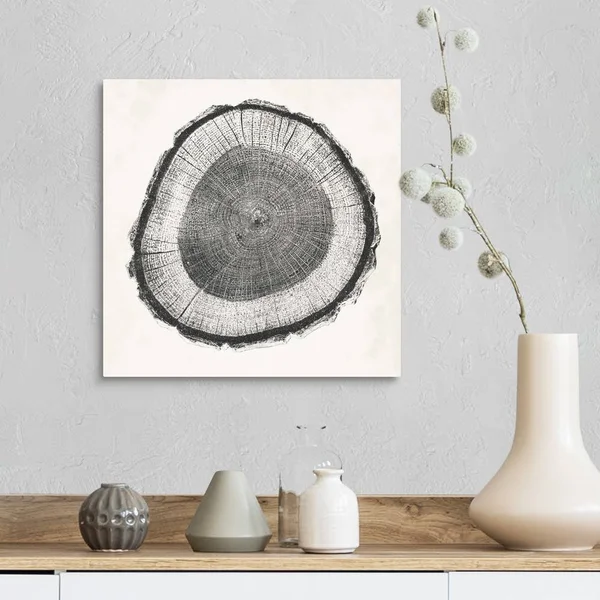 Tree Ring II, Canvas Wall Art, 16x16, Great Big Canvas