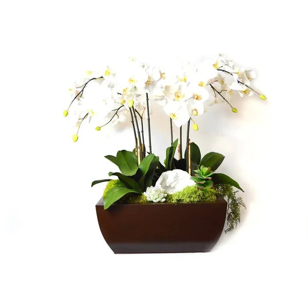 Tu0026C Floral Company 21 x 29 in. Orchid and Geode in Metal Box - Large - White
