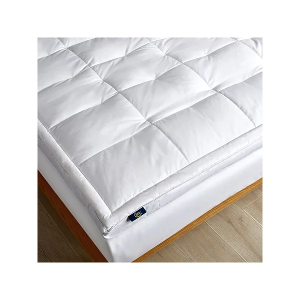 Serta 2x22 Feather and Down Fiber Top Featherbed, Queen - White