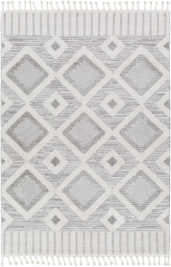 Valencia (Vlc-2312), 6& 7x22 x 9& Rug