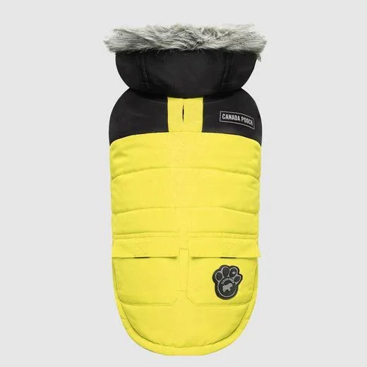 True North Parka - Yellow - Canada Pooch 229782
