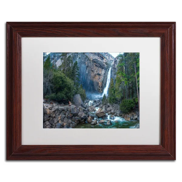 Trademark Fine Art &Yosemite National Park - California-IV& by David Ayash Framed Photographic Print - Size: 16x22 H x 20x22 W