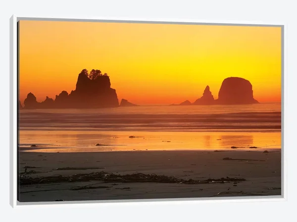 Framed Canvas Art (White Floating Frame) - Vibrant Twilight - Point of Arches, Shi Shi Beach, Olympic National Park, Washington