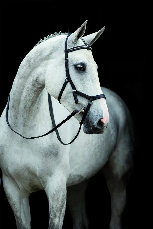 Rambo Micklem Diamante Competition Bridle - Black