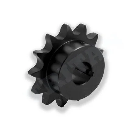 Tritan Sprocket 24BS20HX65, Metric, 1-1/2x22 Pitch, 65mm Finished Bore, 20 Teeth