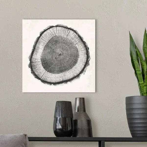 Tree Ring II, Canvas Wall Art, 16x16, Great Big Canvas