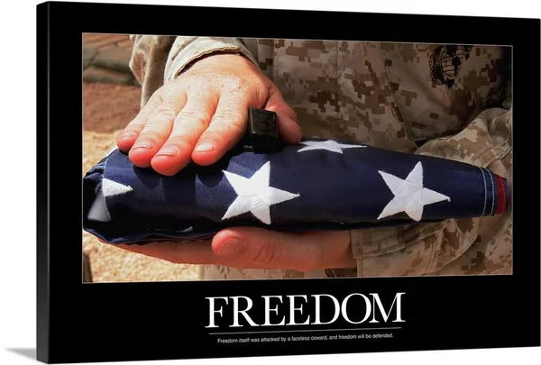 Military Motivational Poster: Freedom, Canvas Wall Art, 30x20, Great Big Canvas