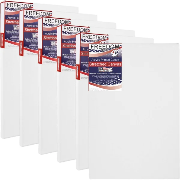 U.S. Art Supply 20 x 24 inch Stretched Canvas 12-Ounce Primed 6-Pack - Professio