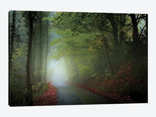 The Lane Canvas Artwork Print by Adelino Goncalves ( scenic & landscapes > Nature > trails, Paths & Roads art)