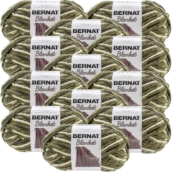 Bernat Blanket Big Ball Yarn - Gathering Moss - Multipack of 12