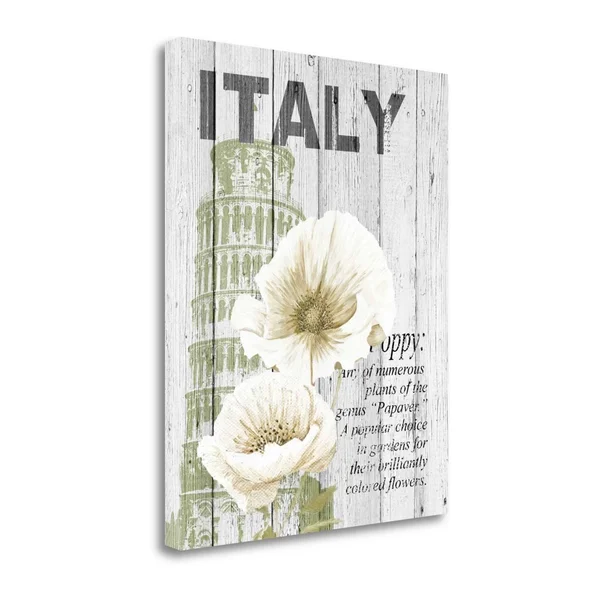 32x22 x 26x22 Italy Poppies by Alicia Soave Fine Art Giclee Print