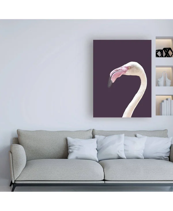 Trademark Fine Art Ic01451-C3547Gg Design Fabrikken 'The Flamingo Fabr