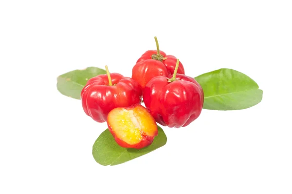 Acerola Cherry Powder - Organic Freeze Dried 22 lbs by Z Natural Foods
