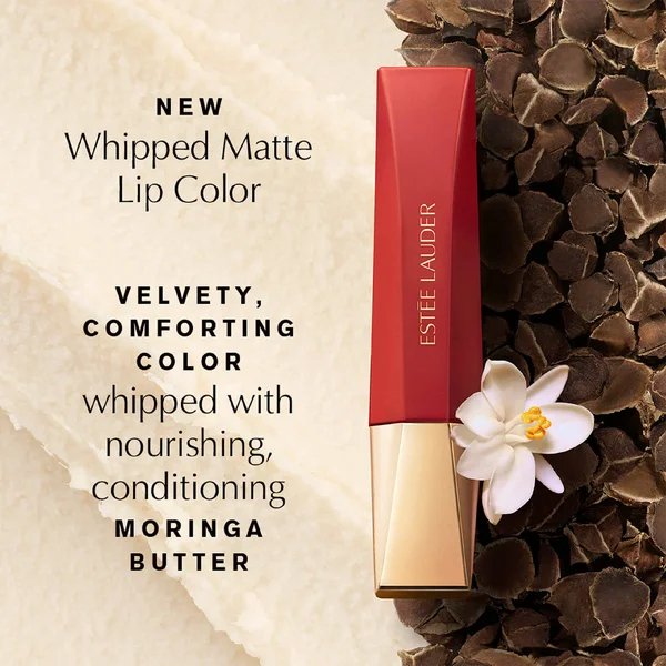 Estee Lauder Love Fever Pure Color Whipped Matte Lip Colour 9ml