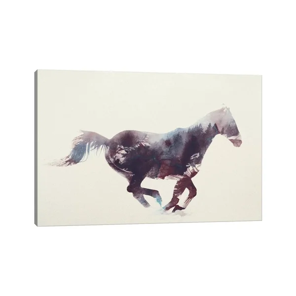 iCanvas Horse I by Andreas Lie Canvas Print 26x40x1.5 1PC6-60x40