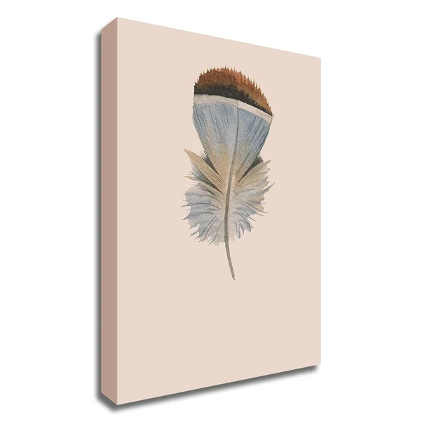 Tangletown Fine Art 35x22 x 25x22 Feather 04 by Incado Print on Canvas