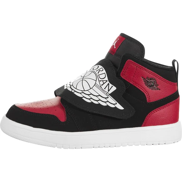 Sky Jordan 1