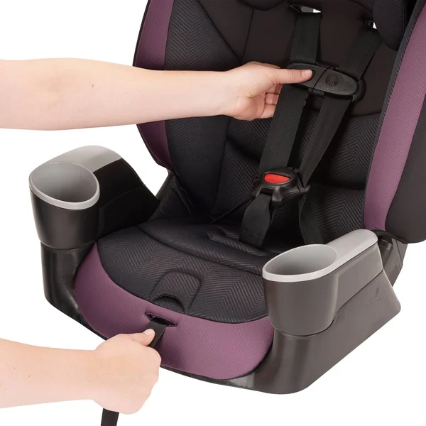 Evenflo Maestro Sport Harness Booster Car Seat - Whitney