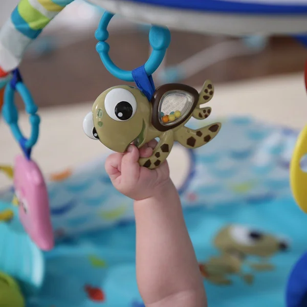Disney Baby Lights & Music Gym - Mr. Ray Ocean, Finding Nemo