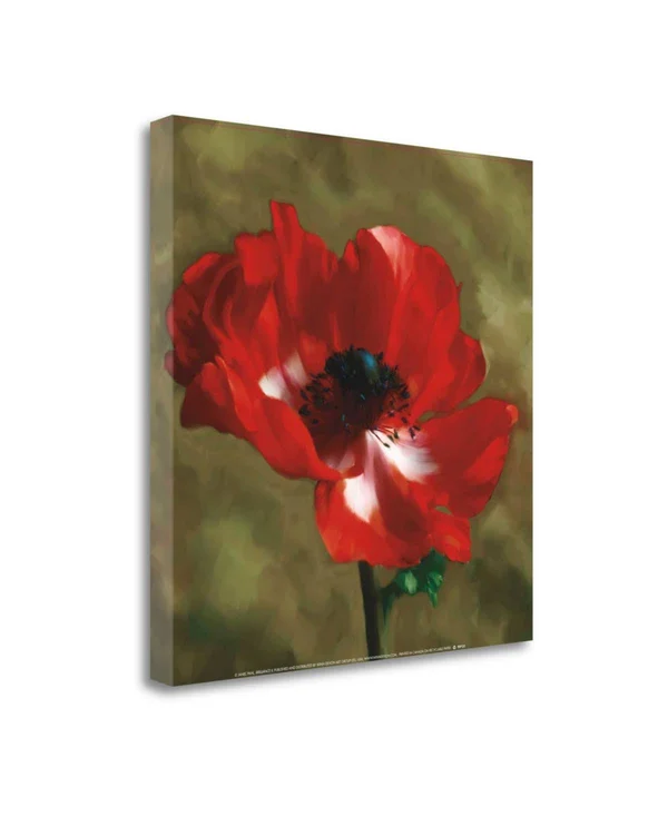19x22 x 19x22 Brilliance II by Janel Pahl Fine Art Giclee Print