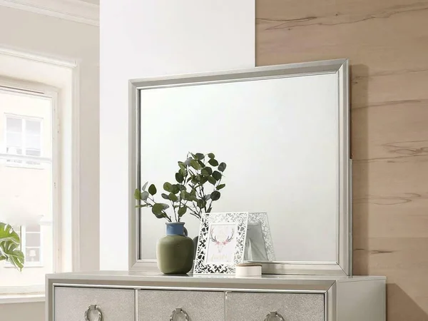 Coaster Salford Mirror - Metallic Sterling 222724